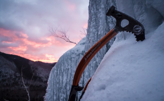 Morning with Monsters