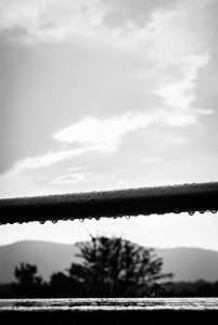 1014830_684146251611463_497985571_o