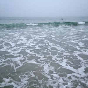 13403970_1509050489121031_6107610005133950721_o