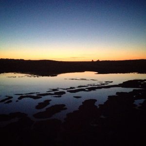 13497627_1521654587860621_4683670894975756410_o