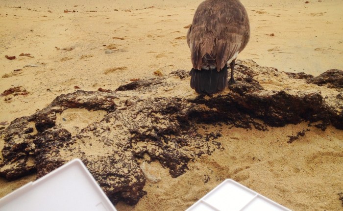 Plastics, the Environment and the&nbsp;Economy