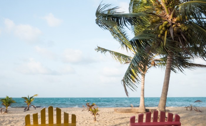 CDS Column: Reflections&nbsp;Abroad